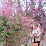 Citas sin compromiso en España una nueva forma de conocer gente image_1458.jpg