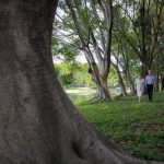 Citas Rápidas Anónimo Una Nueva Forma de Conocer Gente image_1561.jpg