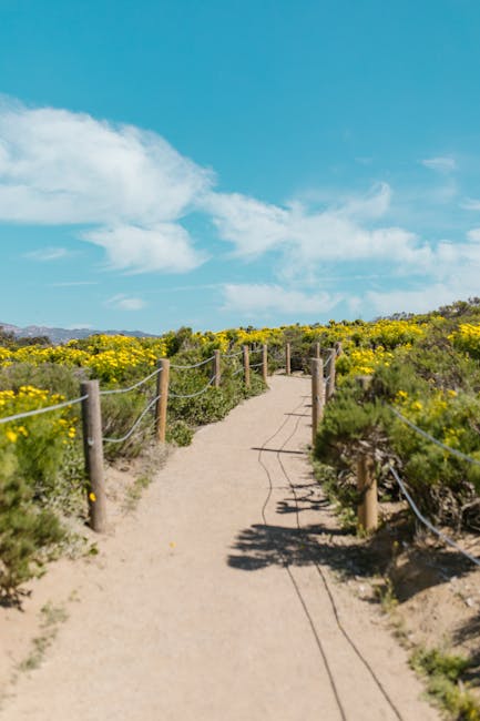 Citas Seguras en Barcelona Consejos y Precauciones